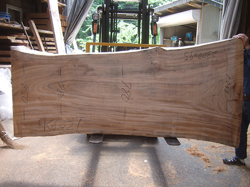 一枚板テーブルの吉野杉ドットコム取り扱い樹種   一枚板テーブルと