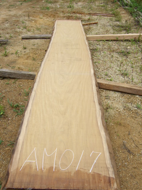 アサメラ一枚板AM17