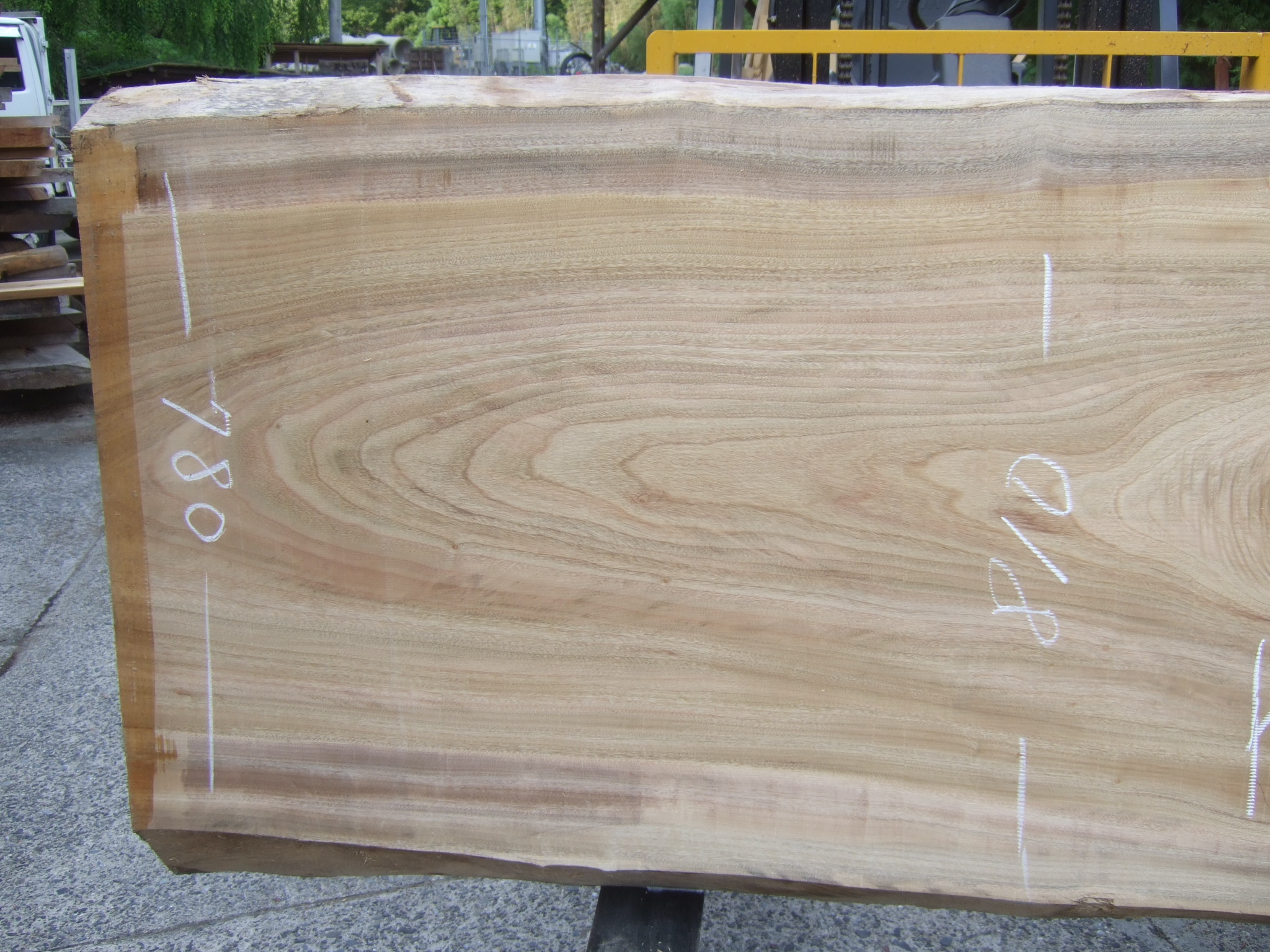 楠の木一枚板KS015
