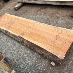 アメリカンブラックチェリー一枚板ACH146