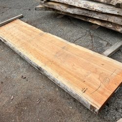 アメリカンブラックチェリー一枚板ACH146