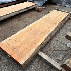 アメリカンブラックチェリー一枚板ACH146