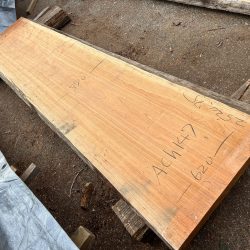 アメリカンブラックチェリー一枚板ACH147