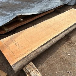 アメリカンブラックチェリー一枚板ACH147