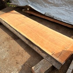 アメリカンブラックチェリー一枚板ACH147