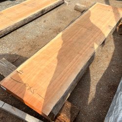 アメリカンブラックチェリー一枚板ACH147