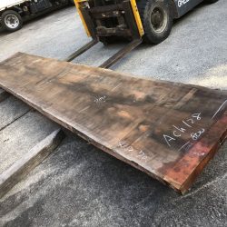 アメリカンブラックチェリーACH128