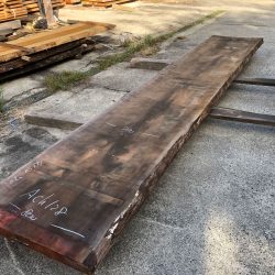 アメリカンブラックチェリーACH128