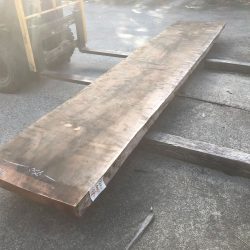 アメリカンブラックチェリーACH128