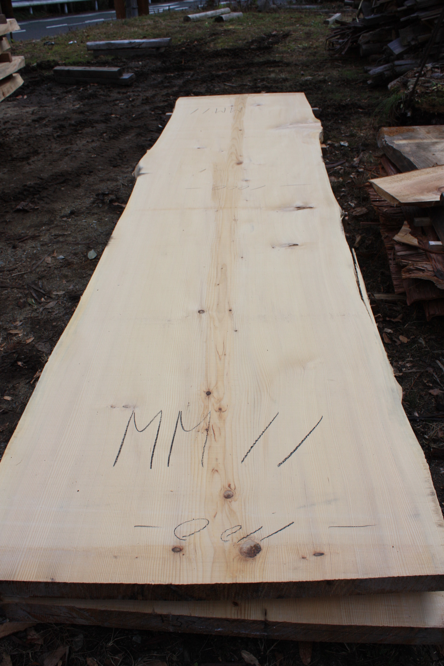 モミの木一枚板MM11