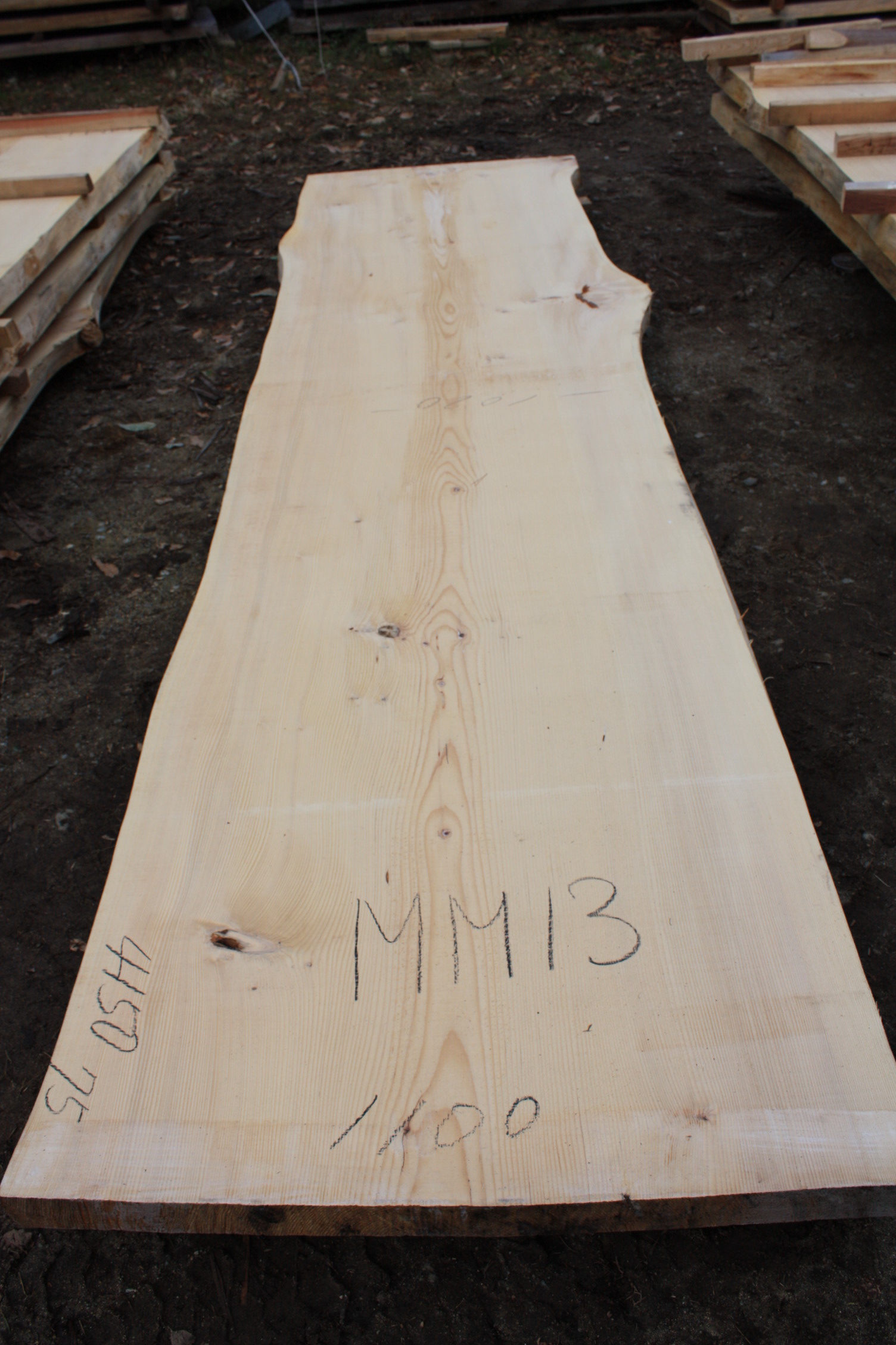 モミの木一枚板MM13