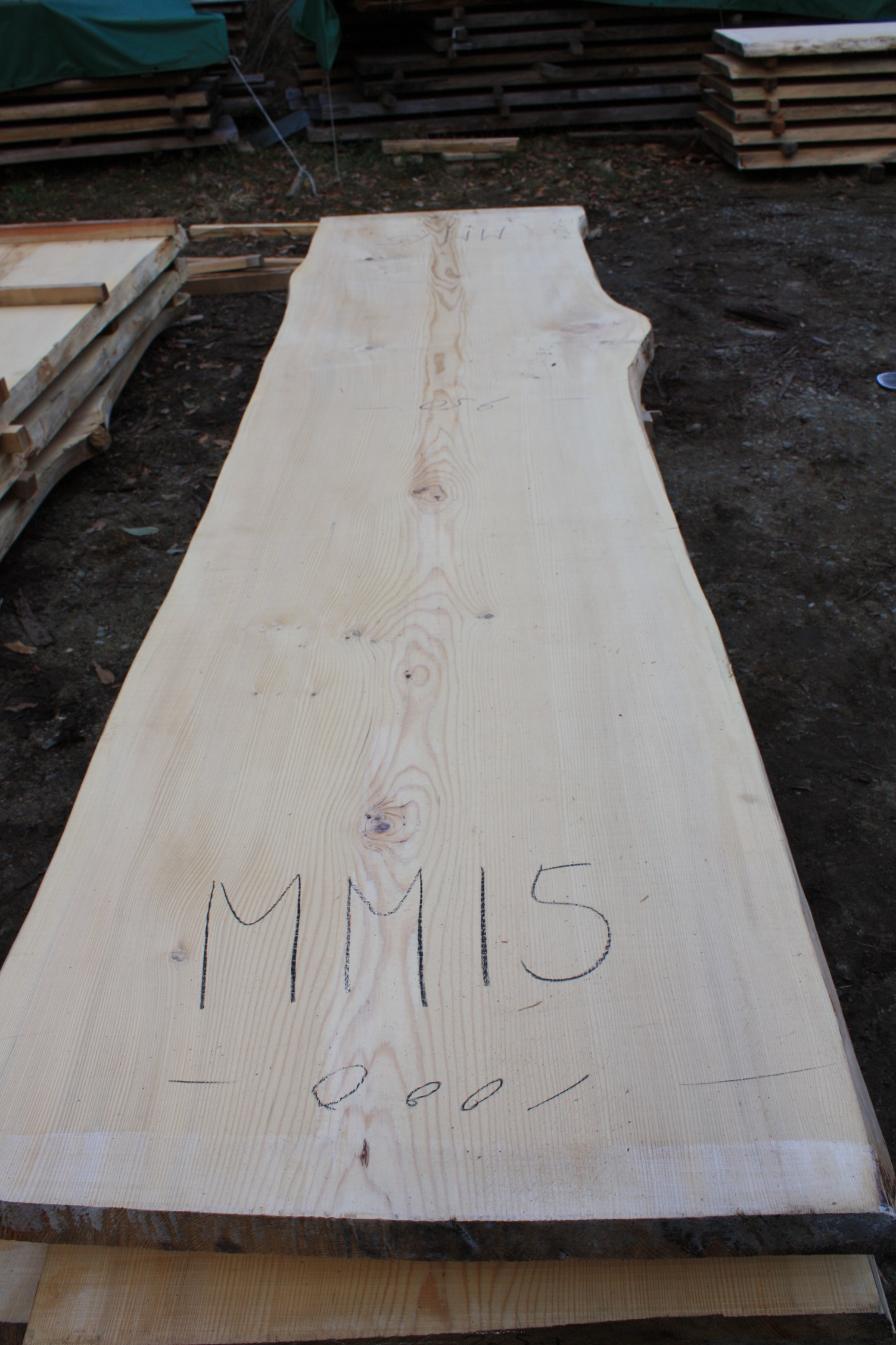 モミの木一枚板MM15