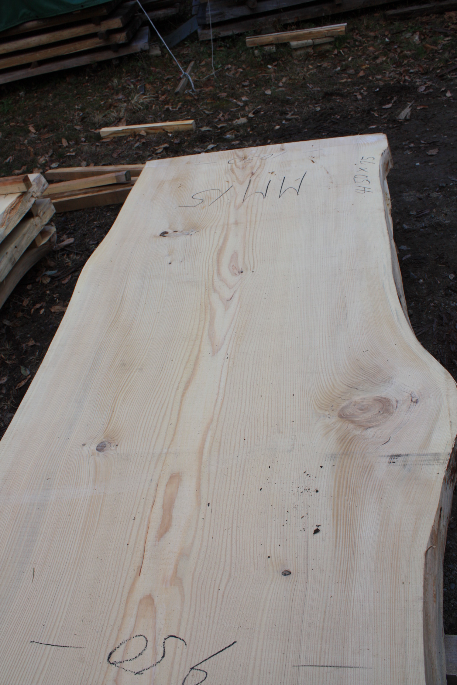 一枚板テーブル用樅の木MM15 | 一枚板テーブルと無垢カウンター販売の 