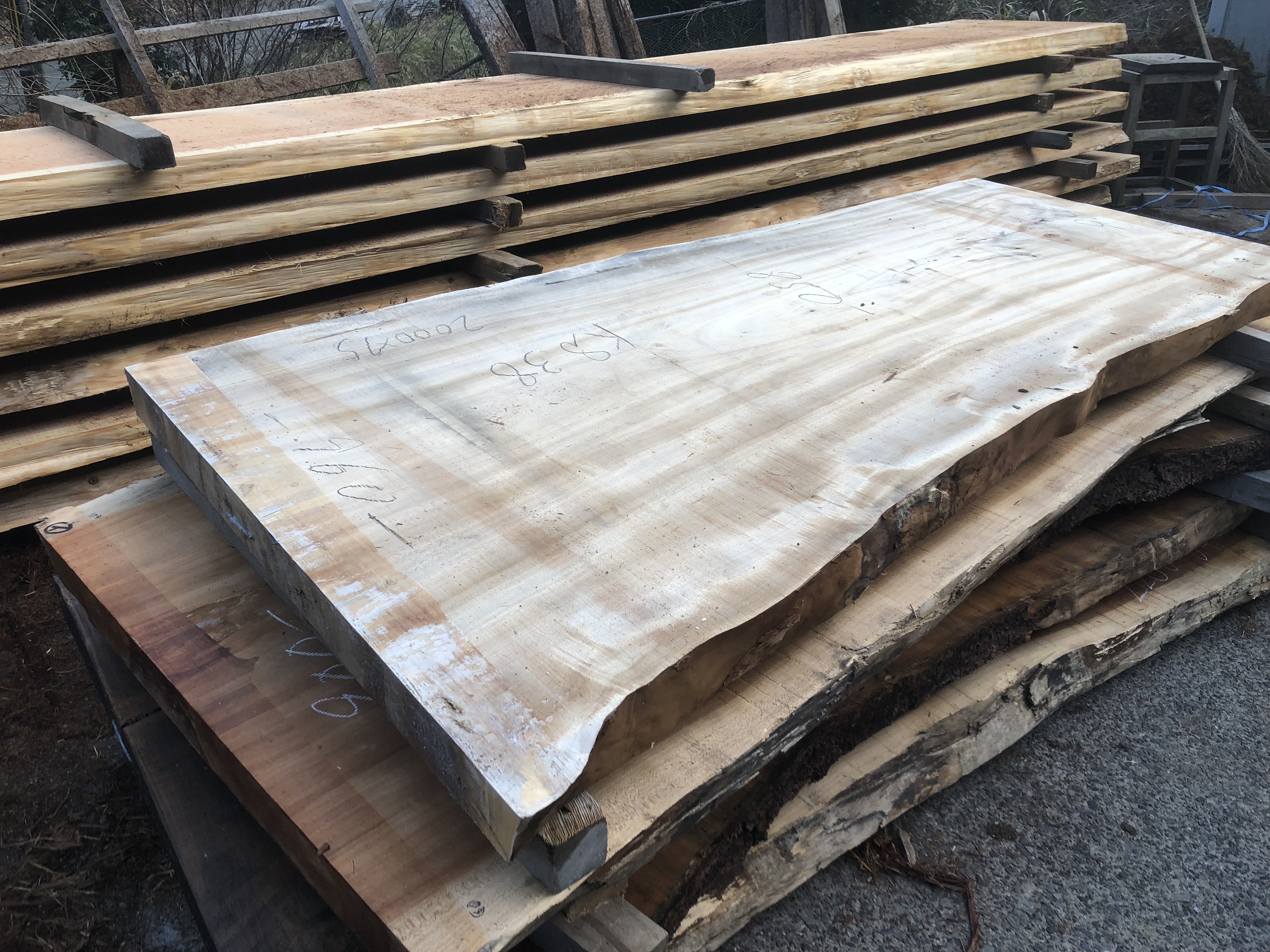 楠の木一枚板KS38 | 一枚板テーブルと無垢カウンター販売のグリーンフォレスト