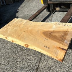 栃の木一枚板t1090（吉野産）