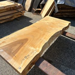 栃の木一枚板t1090（吉野産）