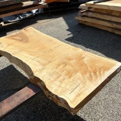 栃の木一枚板t1090（吉野産）