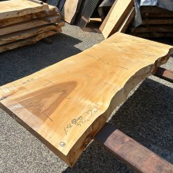 栃の木一枚板t1090（吉野産）