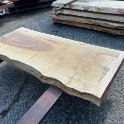 栃の木一枚板t1091（吉野産）