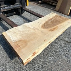 栃の木一枚板t1091（吉野産）