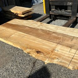 栃の木一枚板ｔ1100（吉野産）