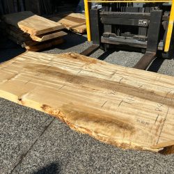 栃の木一枚板ｔ1094（吉野産）