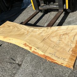 栃の木一枚板ｔ1095（吉野産）