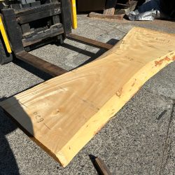 栃の木一枚板ｔ1095（吉野産）