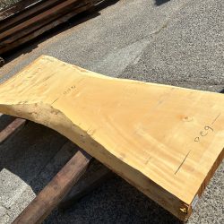 栃の木一枚板ｔ1095（吉野産）