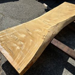 栃の木一枚板ｔ1095（吉野産）