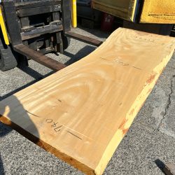 栃の木一枚板ｔ1096（吉野産）