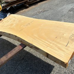 栃の木一枚板ｔ1096（吉野産）