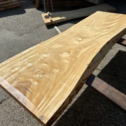 栃の木一枚板ｔ1096（吉野産）