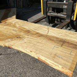 栃の木一枚板ｔ1098（吉野産）