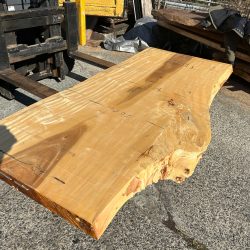 栃の木一枚板ｔ1098（吉野産）