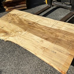 栃の木一枚板ｔ1099（吉野産）