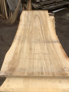 楠の木一枚板 | 一枚板テーブルと無垢カウンター販売のグリーンフォレスト