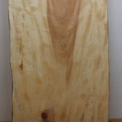 栃の木一枚板　ts-03