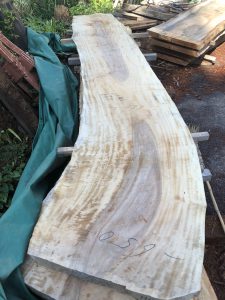 栃の木一枚板 | 一枚板テーブルと無垢カウンター販売のグリーンフォレスト