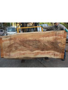 楠の木一枚板KS022
