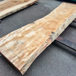 栃の木一枚板ｔ1104