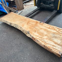 栃の木一枚板ｔ1104