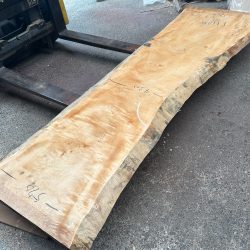 栃の木一枚板ｔ1104