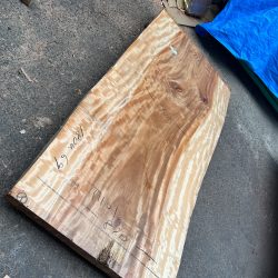 栃の木一枚板ｔ1101