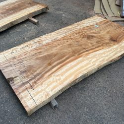 栃の木一枚板ｔ1101