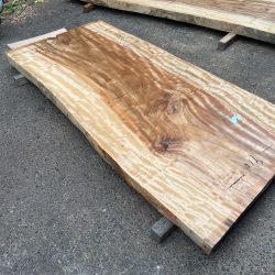 栃の木一枚板ｔ1101