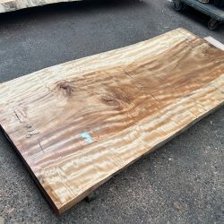 栃の木一枚板ｔ1101