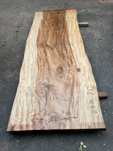 栃の木一枚板t1102