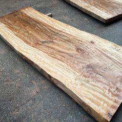 栃の木一枚板ｔ1102