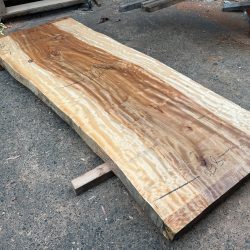 栃の木一枚板ｔ1102